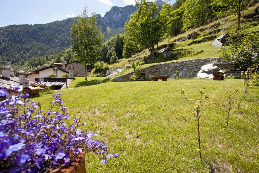 B&B A Pankeo Valtournenche Exterior photo